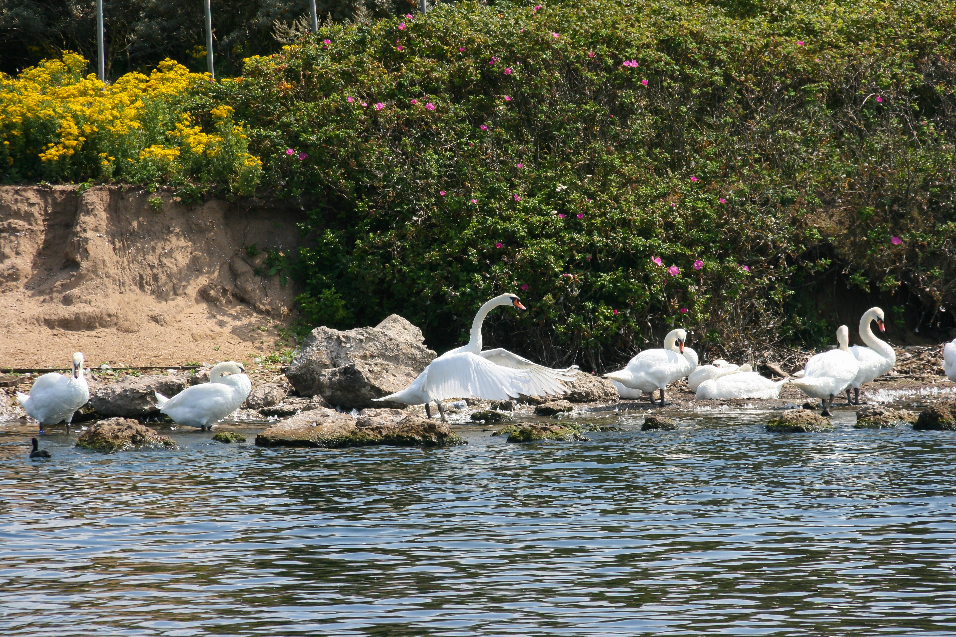 Marine Lake, Southport